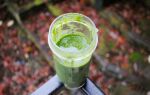 Start Your Holiday Off Right with a Fresh Green Smoothie