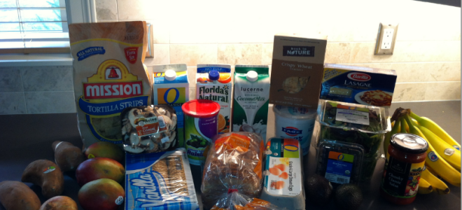 Project: Food Budget–Week 37