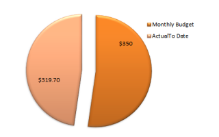 Project: Food Budget–Week 9