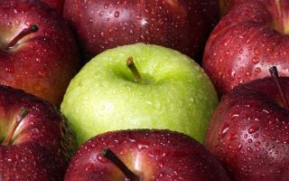 Tips & Tricks: Determining an Apple’s Freshness and Other Apple Awesomeness