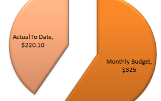 Project: Food Budget – Week 16