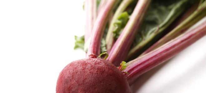 A Morning Smoothie that Can’t be BEET