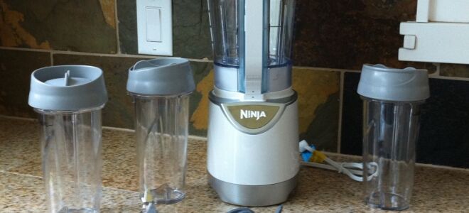 Product Review: Ninja Pulse Blending System