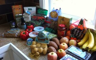 Project: Food Budget–Week 23