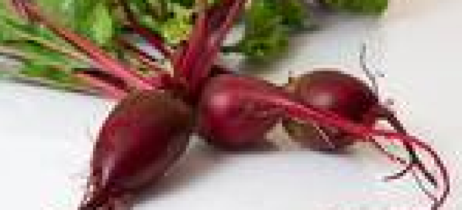 Beet-Apple-Ginger Juice