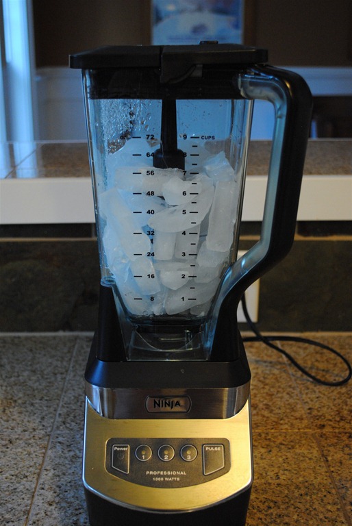 Making “Snow” With the Ninja Blender - Test Kitchen Tuesday