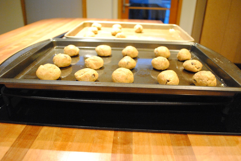 Making Cookie Dough with the Ninja Mega Kitchen System ...